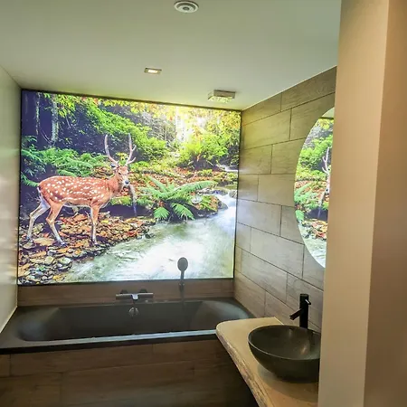 Gaestehaus Groenebach Mit Pool-2 By Interhome * Winterberg
